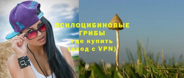 spice Алзамай