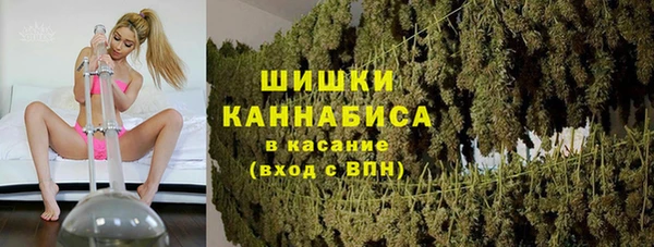 spice Алзамай