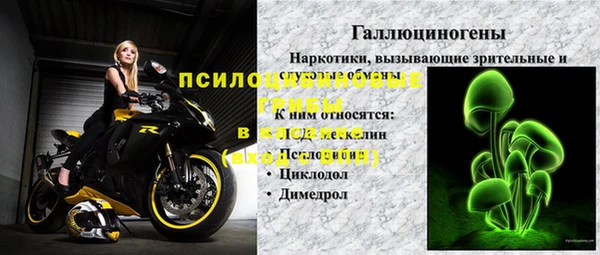 spice Алзамай