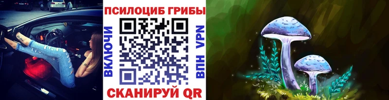 гидра рабочий сайт  Красково  даркнет Telegram  Псилоцибиновые грибы мухоморы 